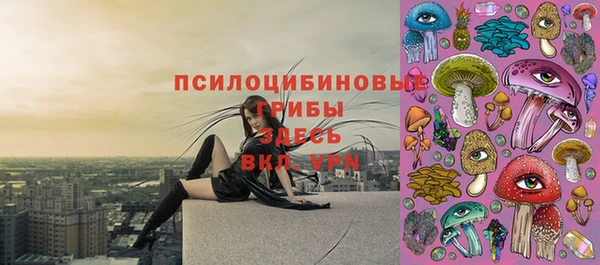 соль курить ск Абаза