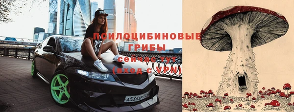 соль курить ск Абаза