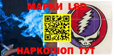 apvp Кингисепп