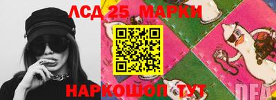 apvp Кингисепп