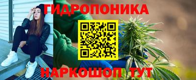 дмт Кимры