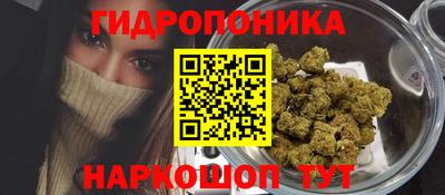 индика Кинель