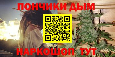 apvp Кингисепп