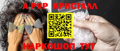 apvp Кингисепп
