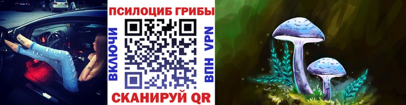 магазин  наркотиков  Россошь  Галлюциногенные грибы GOLDEN TEACHER 
