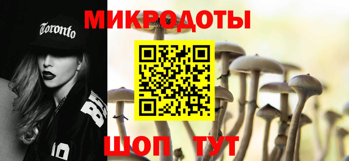 Галлюциногенные грибы Cubensis Россошь
